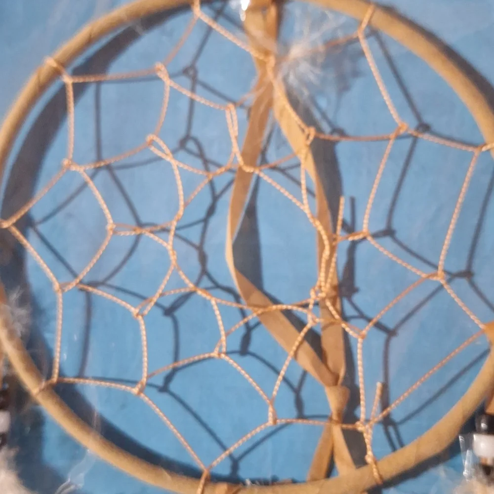 NWT Brown Feather Dreamcatcher Wall Decor